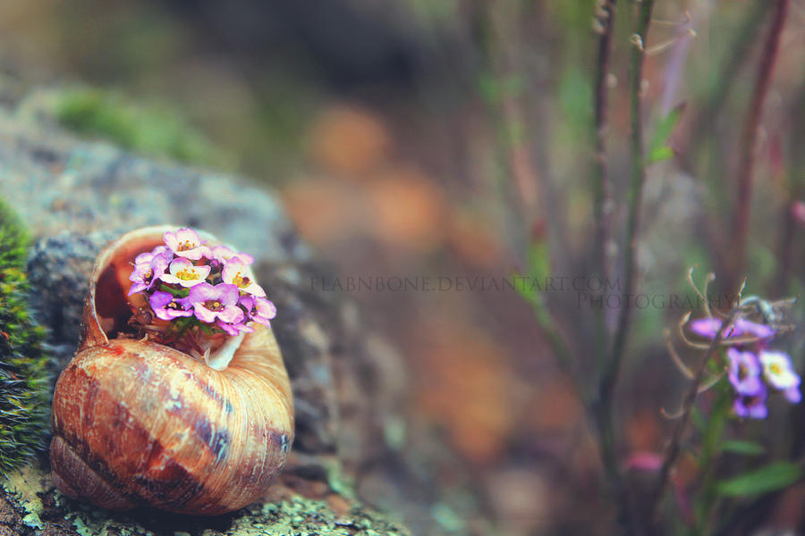Eternity by FlabnBone Eternity by FlabnBone