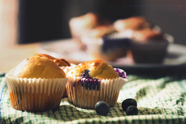 Blueberry Muffins by FlabnBone
