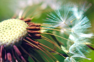 Fragility II