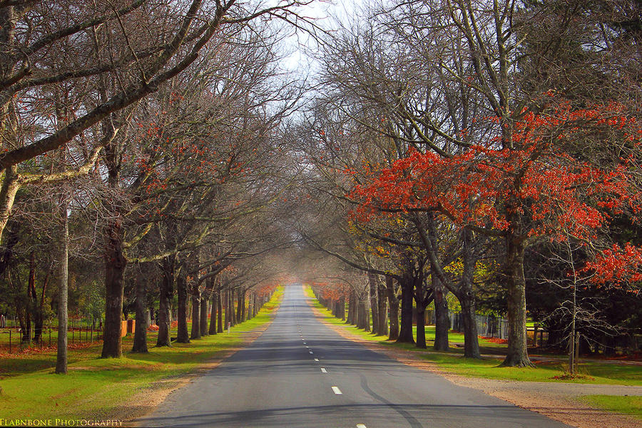 Autumn Path II by FlabnBone