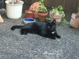 Shar enjoying the roof-deck