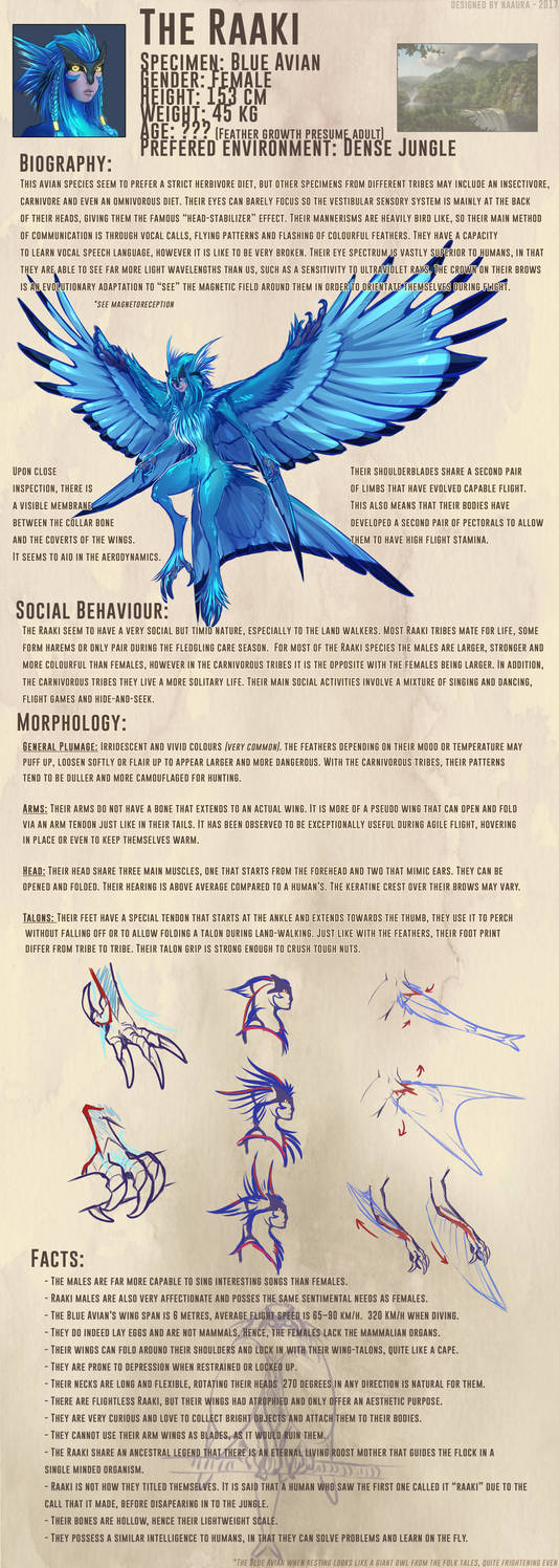Raaki R 2 The Raaki - Species Guide Part 1 by Naaura on DeviantArt