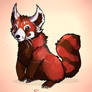 Sunfire  - Red Panda