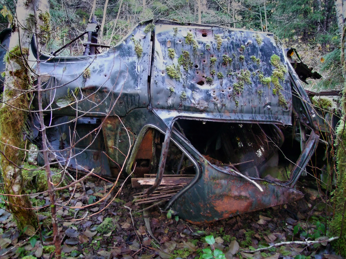 forgotten Car