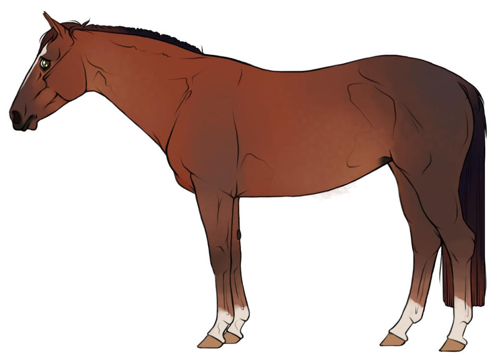 SV Ruby Roo by saregona on DeviantArt