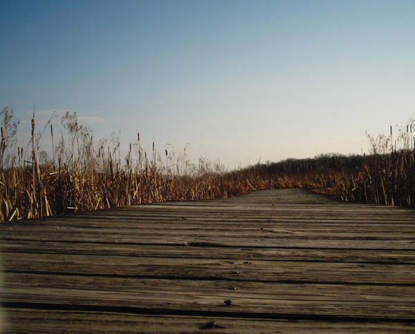 Floating Path by Onefallenfairy on DeviantArt