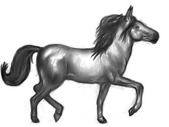 Horse