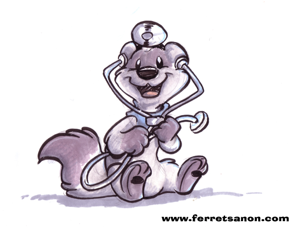 Doctor ferret store