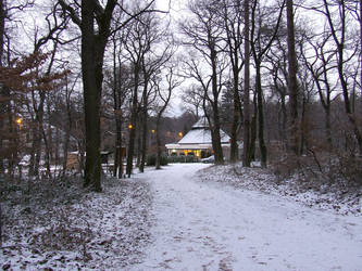 Forest path