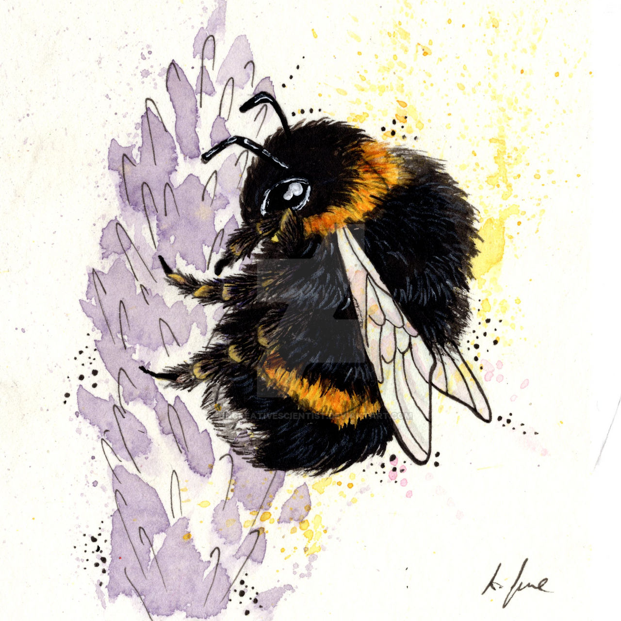 Bumblebee 2 By UncreativeScientist On DeviantArt bumblebee-2-by-uncreativescientist-on-deviantart
