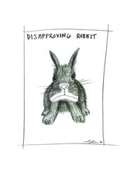 Disapproving Rabbit