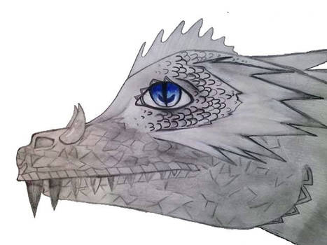 Female Dragon