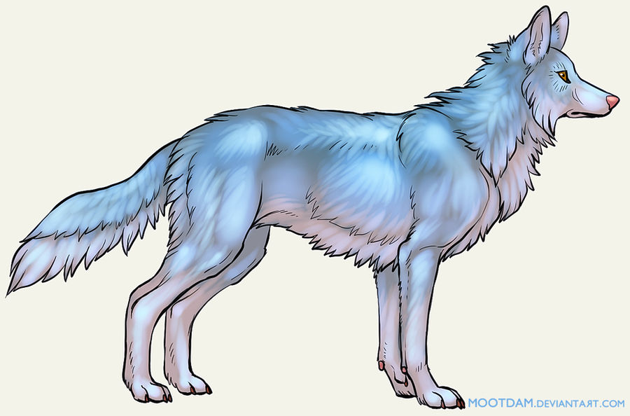 Blue Wolf by Mootdam on DeviantArt