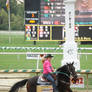 Barrel Racing Demonstration