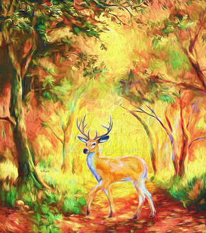 Deer in forest