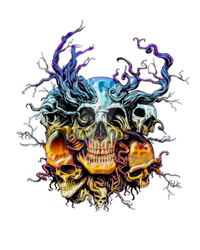 Skull T-shirt PERSONAL USE