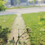 Some green thing.