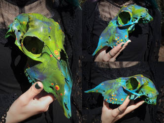 Sheep Skull - Blue and Greens.