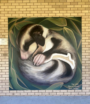 Sugar Glider Mural