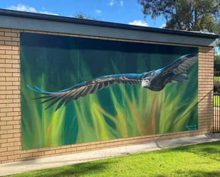 Wedge-Tailed Eagle Mural. by TracieMacVean