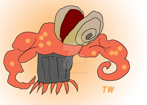 Clam MAN ConcepT