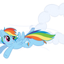 Rainbowdash