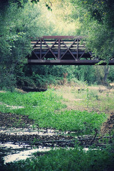 Under the Bridge