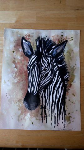 Zebra