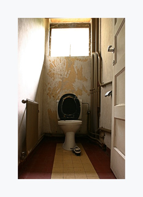 toilet in sanatorium