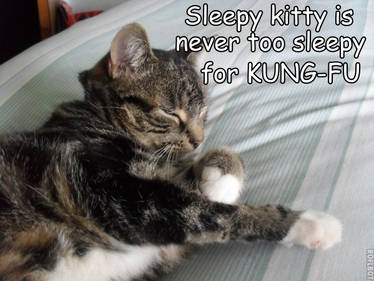 Sleepy Kitty is...