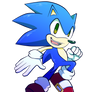 Group Project  CLASSIC SONIC