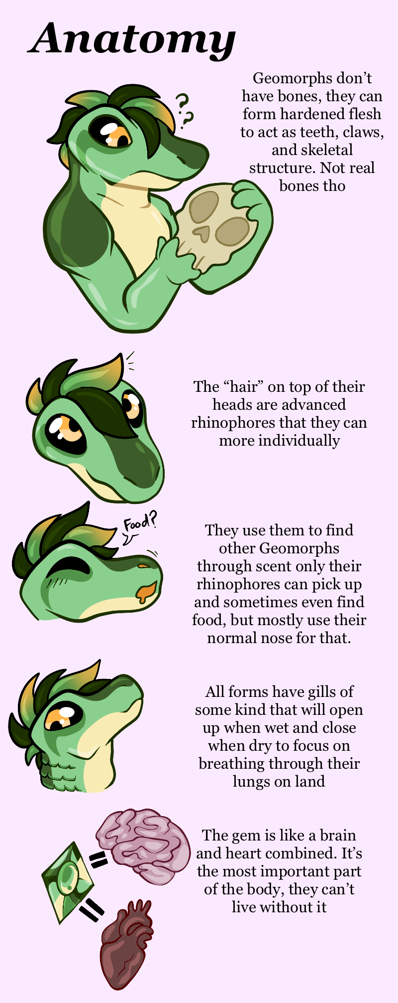 Geomorph anatomy by DarkWaterTopaz on DeviantArt