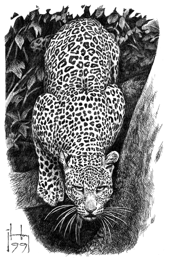 leopard on ballpen