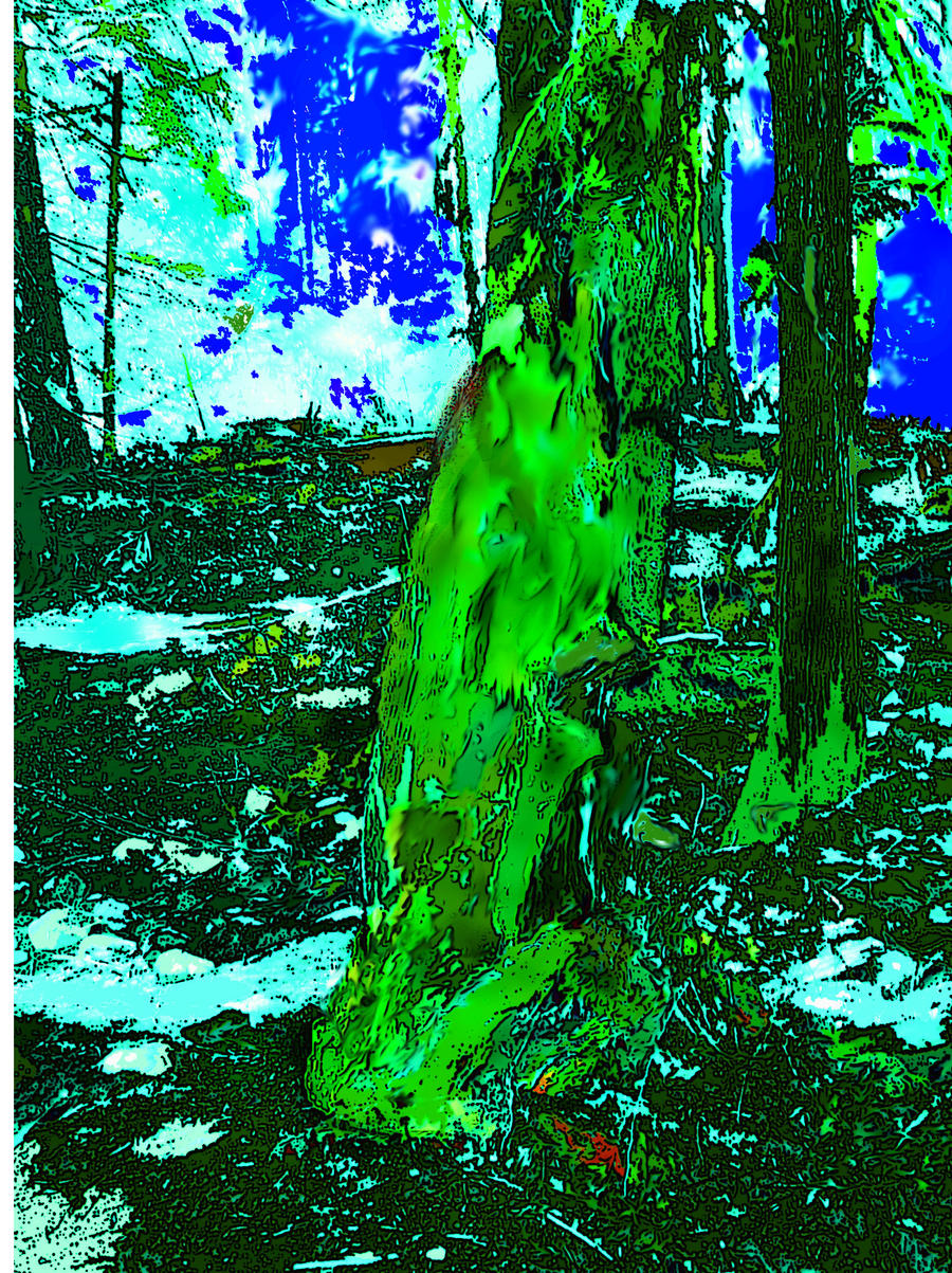 Dead tree Stump. Recolored