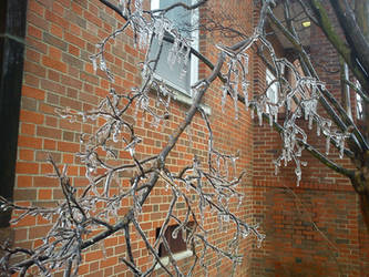 Icicles 3