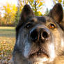 Up Close with Nicky