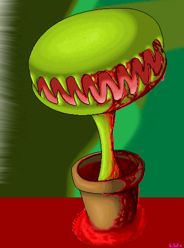 Venus The Venus Flytrap.