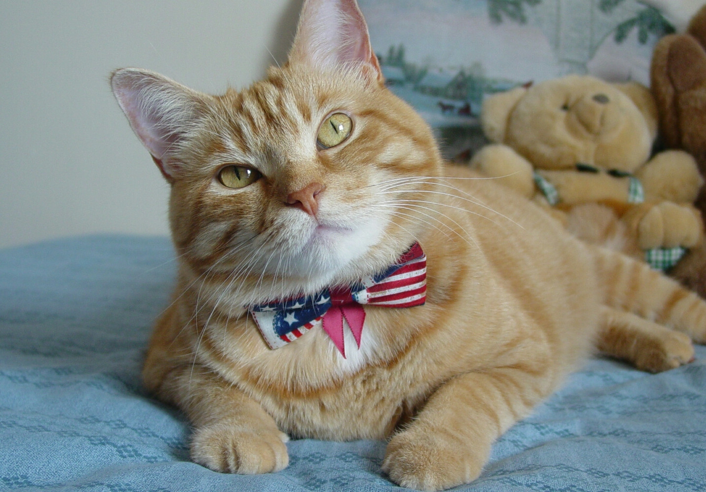 Now, you know I'm cute!
