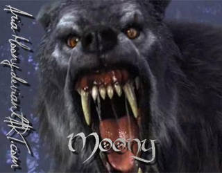 Grey Werewolf Moony ID