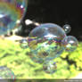 Soap bubbles