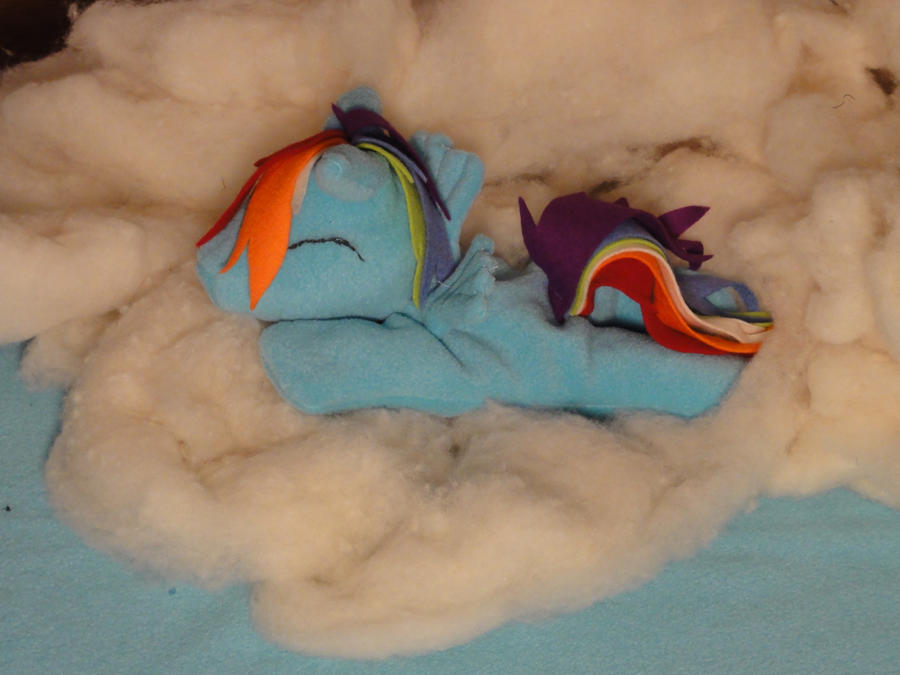 Rainbow Dash plushie 1