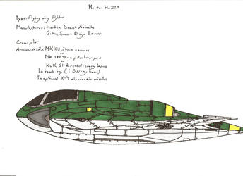 Horten Ho 229