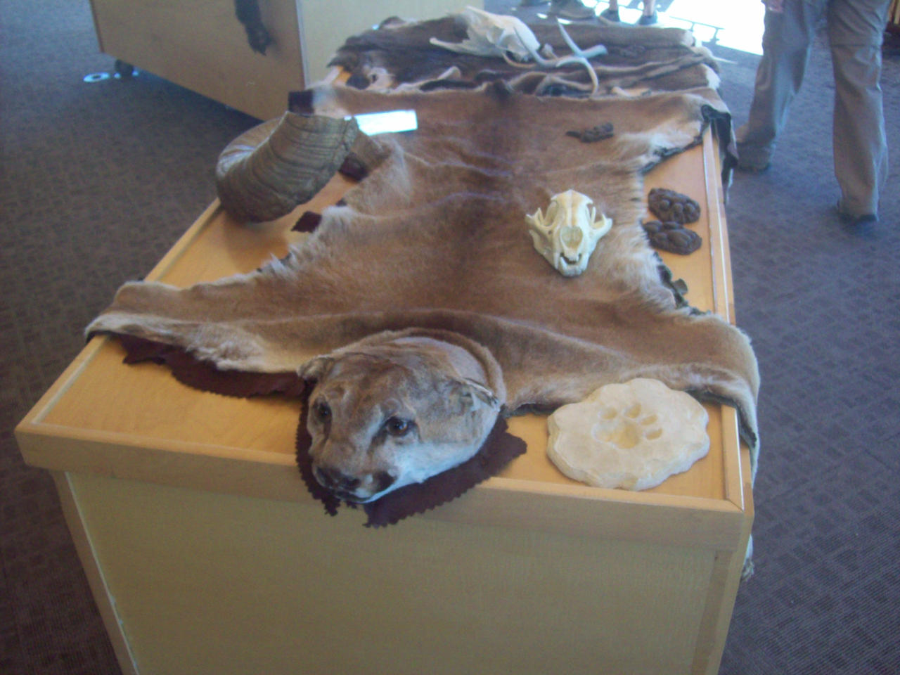 DEAD tired.
