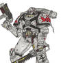Assault Marine, Storm Wings Chapter