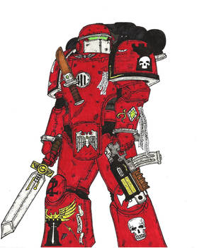 Tactical Marine, 2nd Company, Crimson Castellans
