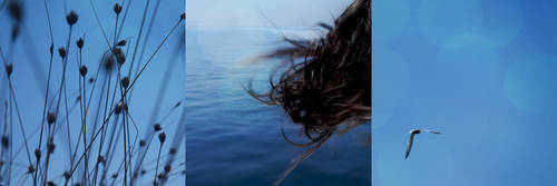 e come il vento by touch-the-rainbow