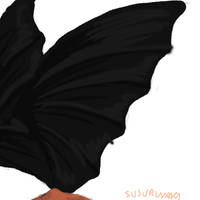 Hiccup Night Fury wings