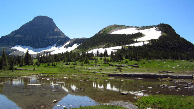 Reflecting Pool