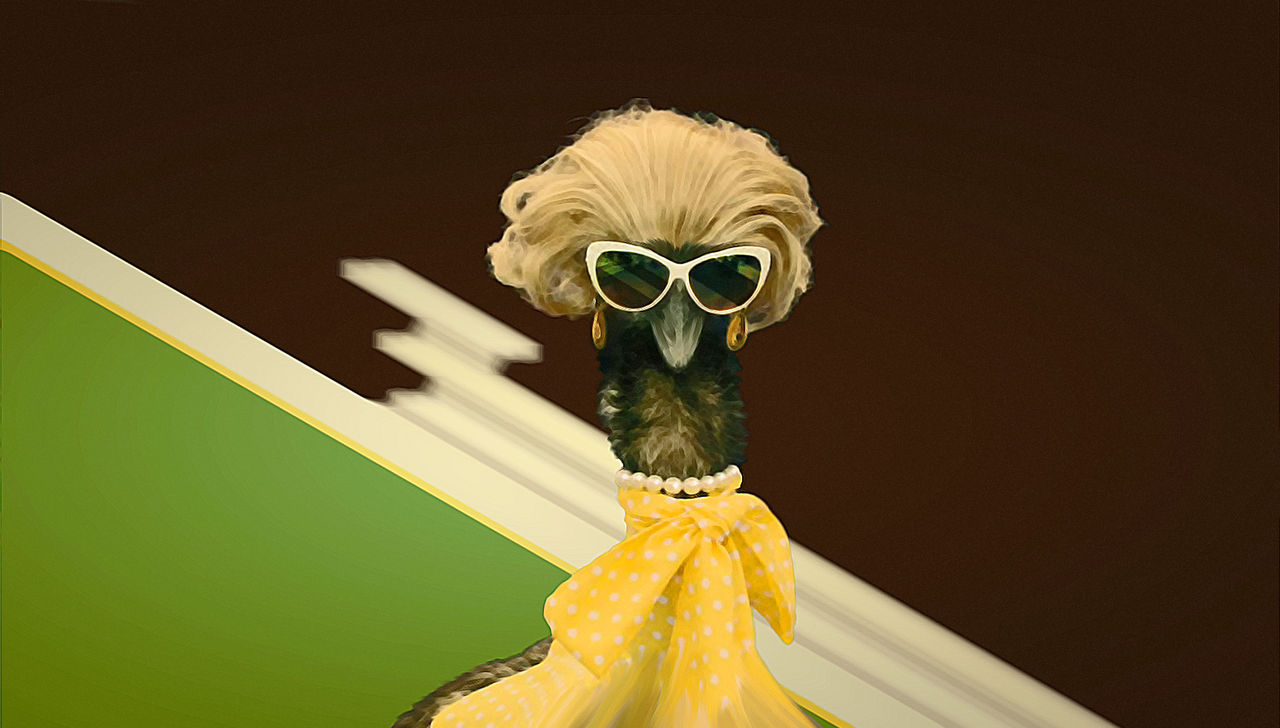 Limu Emu Wife by Adaline-Industries on DeviantArt