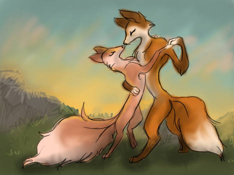 Mr and Mrs fox.